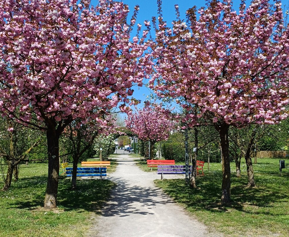 Parco Papa Giovanni Paolo Ii-塞雷尼奥必去景点