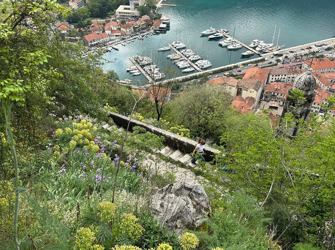 Kotor Old Town-科托尔必去景点