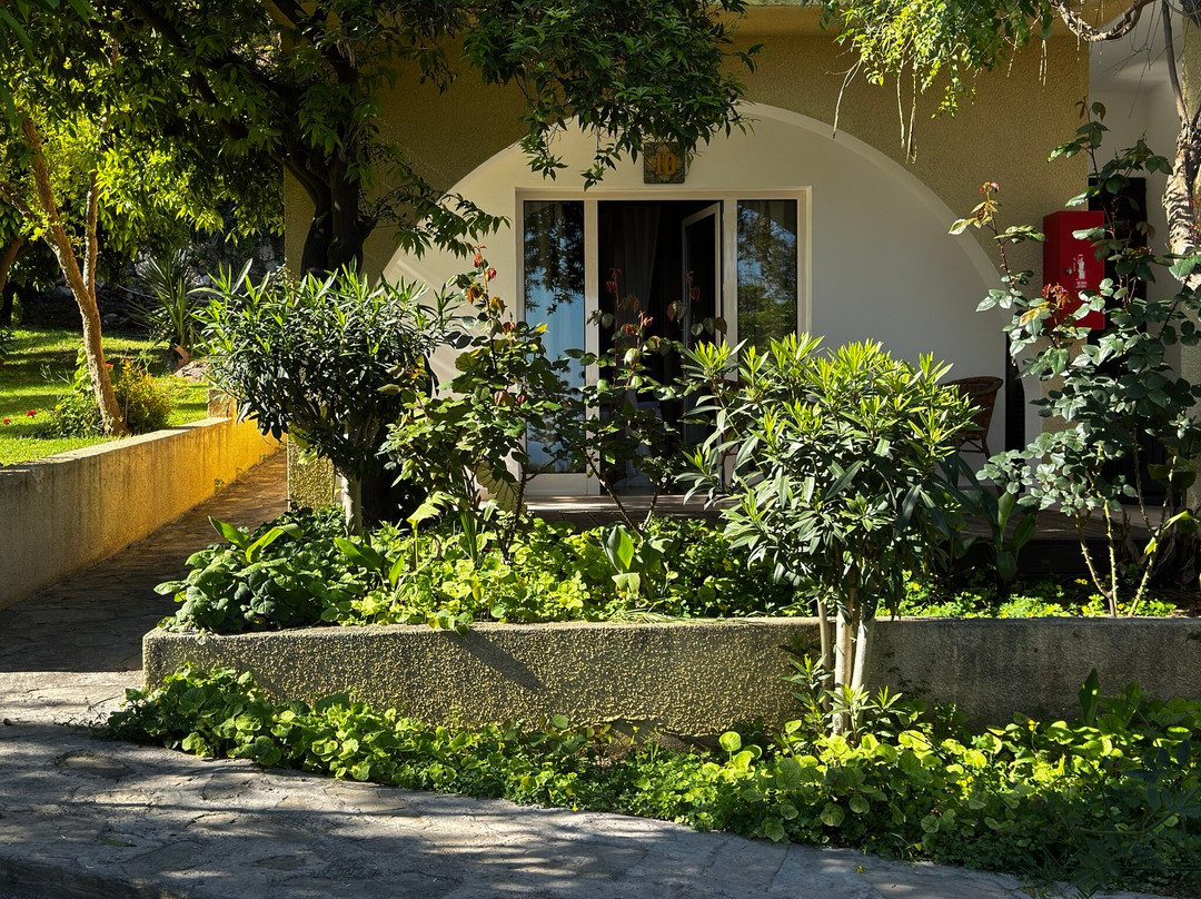 Bellapais Gardens Hotel主图