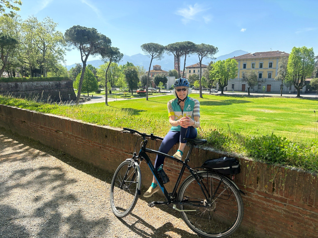 Tourist Center Lucca-卢卡必去景点