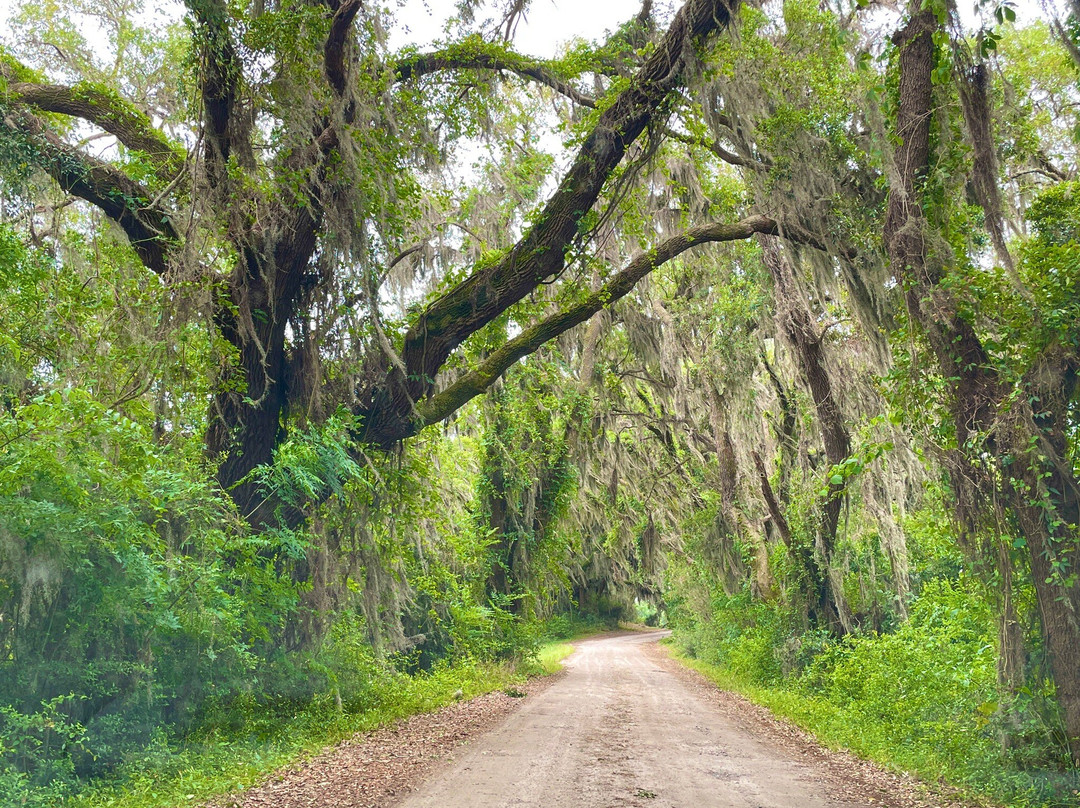 Savannah National Wildlife Refuge-Hardeeville必去景点