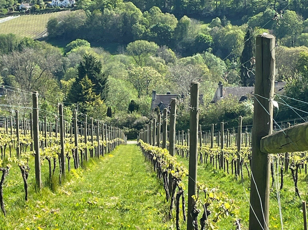 Woodchester Valley Vineyard-斯特劳德必去景点