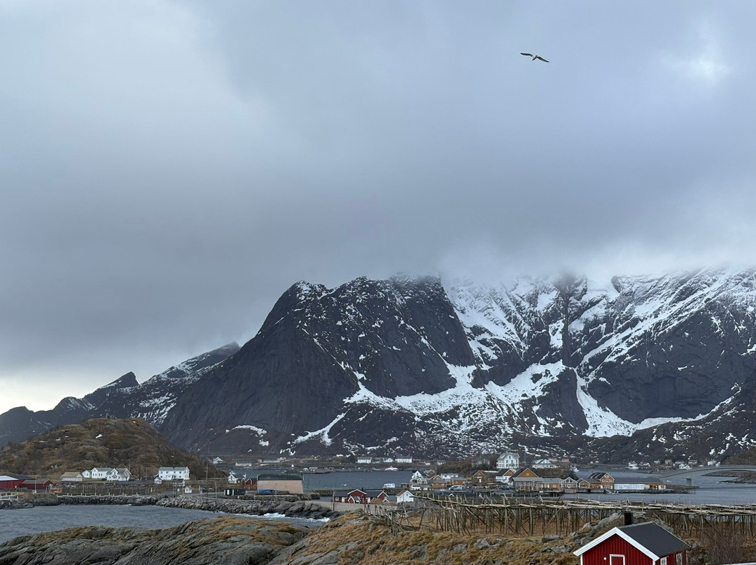 Sakrisøya-雷讷必去景点