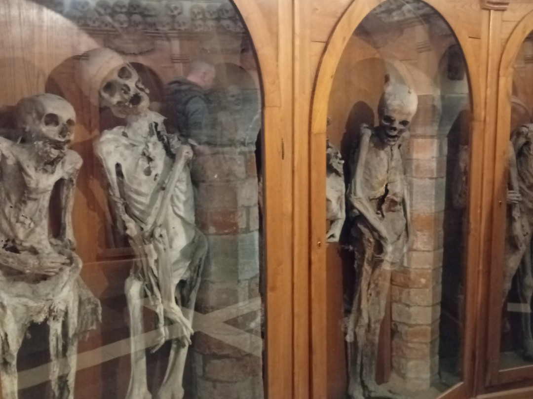 Church of The Dead-Urbania必去景点