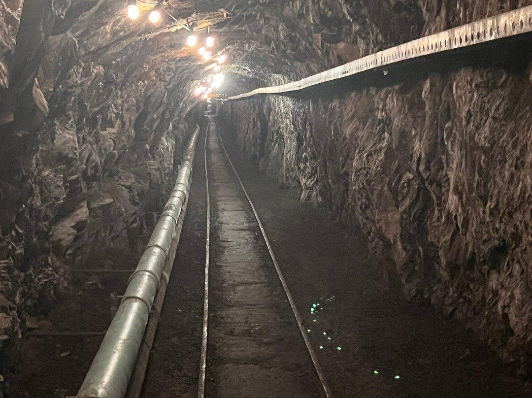 Long Tunnel Extended Gold Mine-Walhalla必去景点