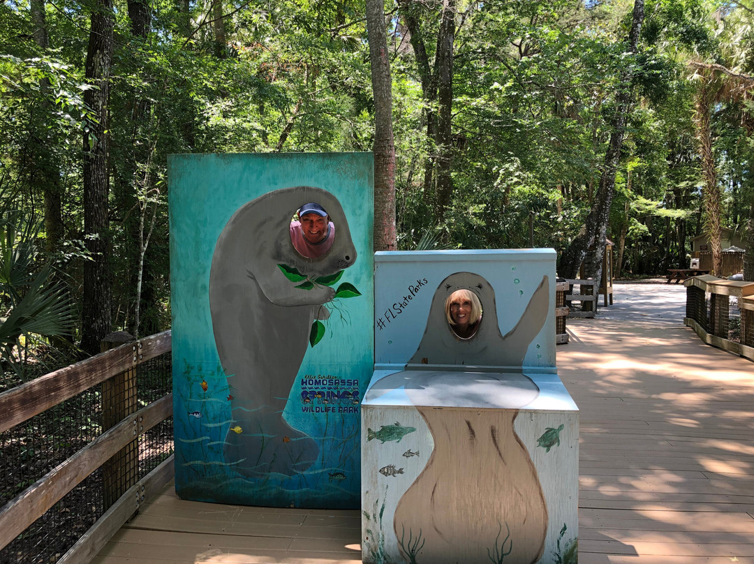 Homosassa springs wildlife park