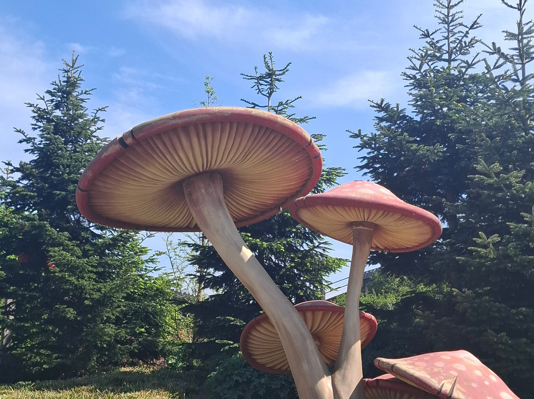 Plopsaland Belgium-德潘尼必去景点