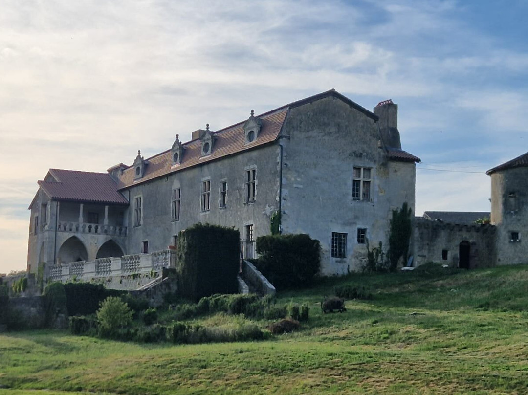 Château De Cibioux主图