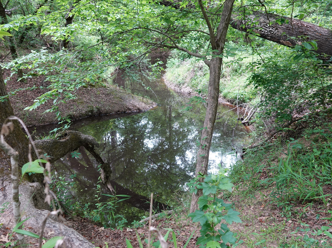 Walter B Jacobs Nature Park-什里夫波特必去景点