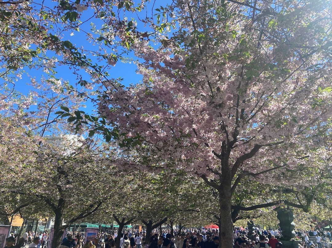 Kungsträdgården-斯德哥尔摩必去景点