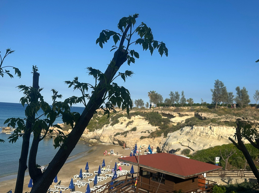 Kohili Beach Bar