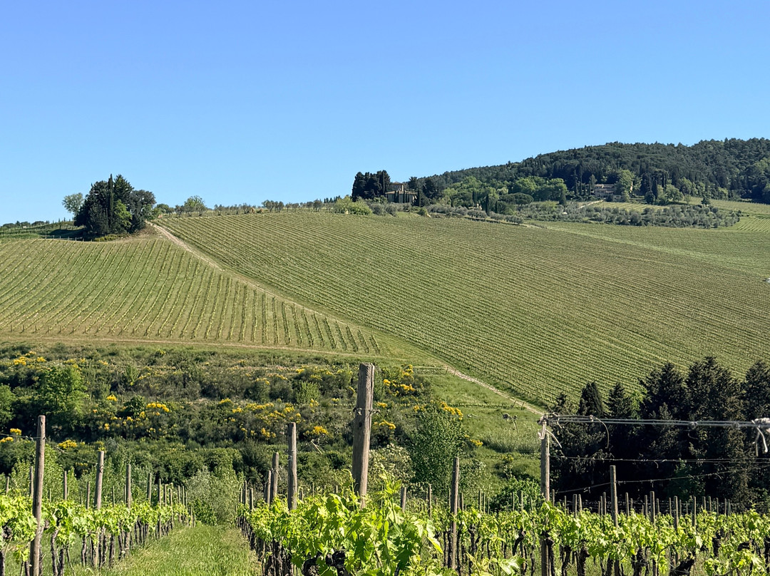 Scenic wine tours in Tuscany-Loro Ciuffenna必去景点