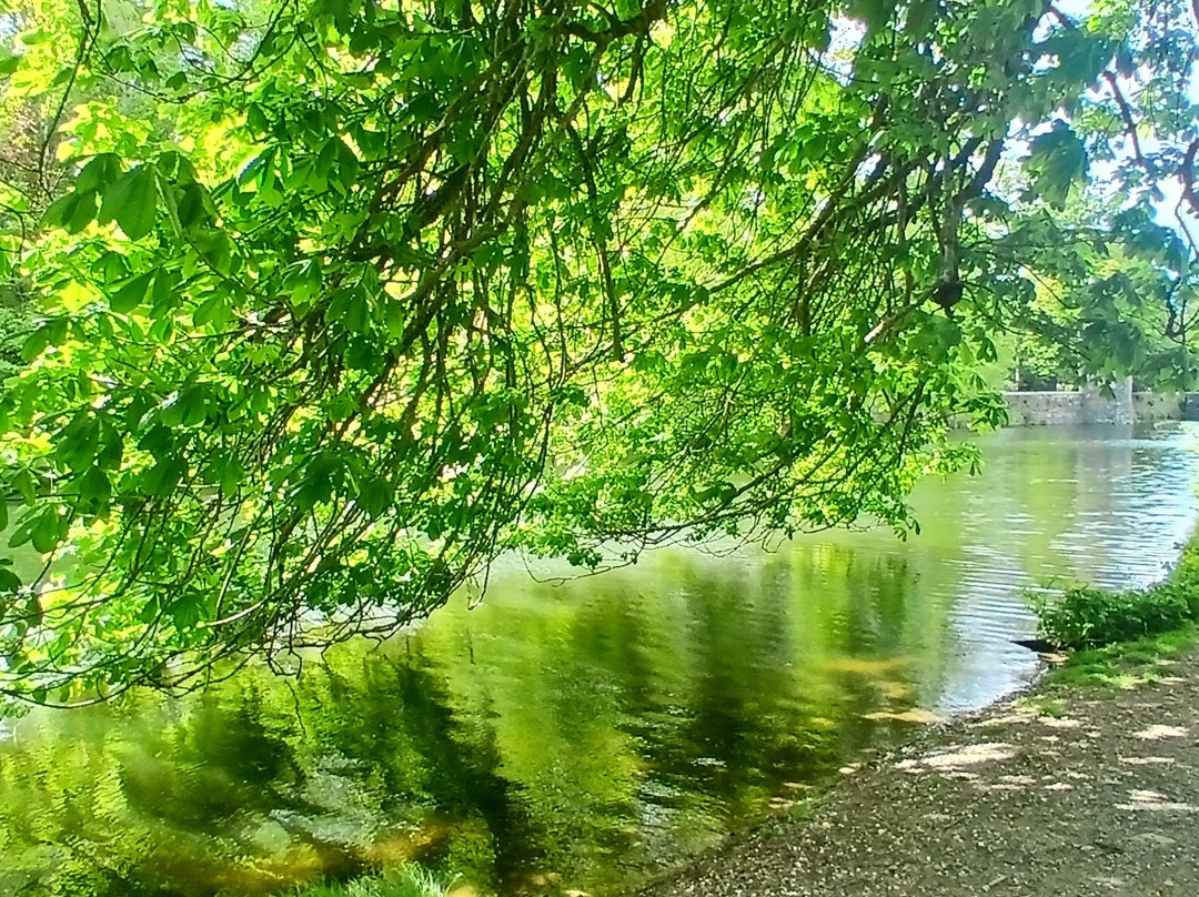 Johnstown Castle-County Wexford必去景点