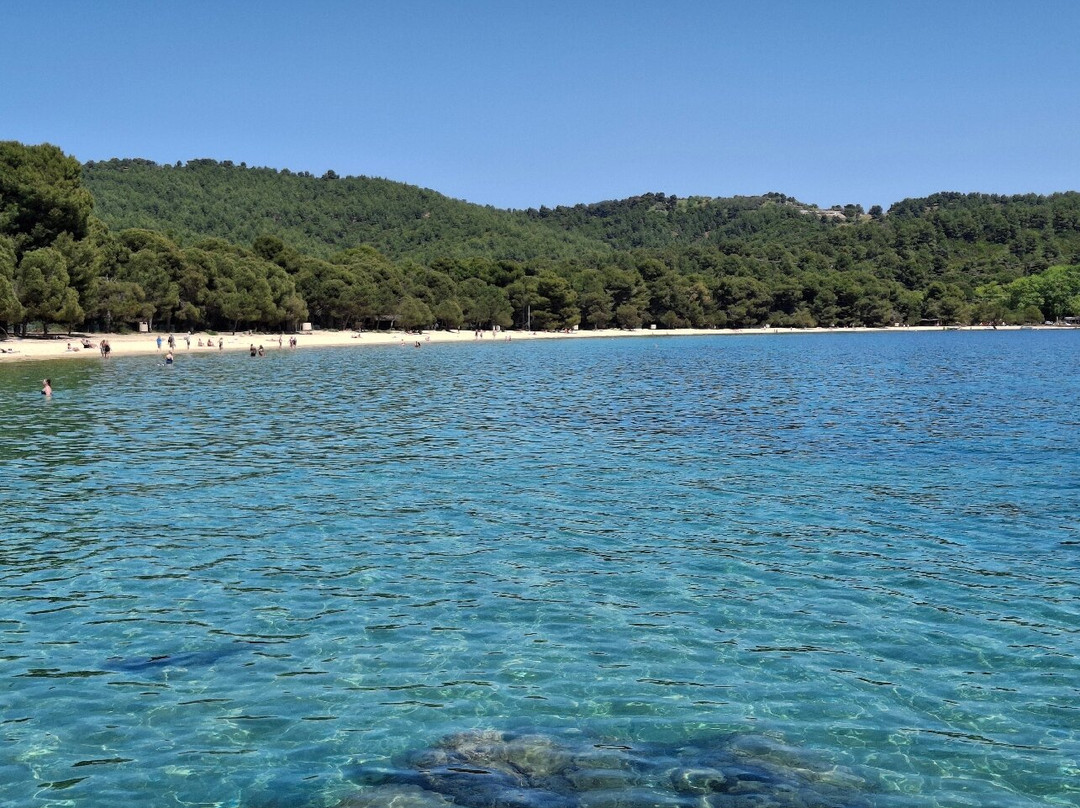 Koukounaries Beach-Koukounaries必去景点