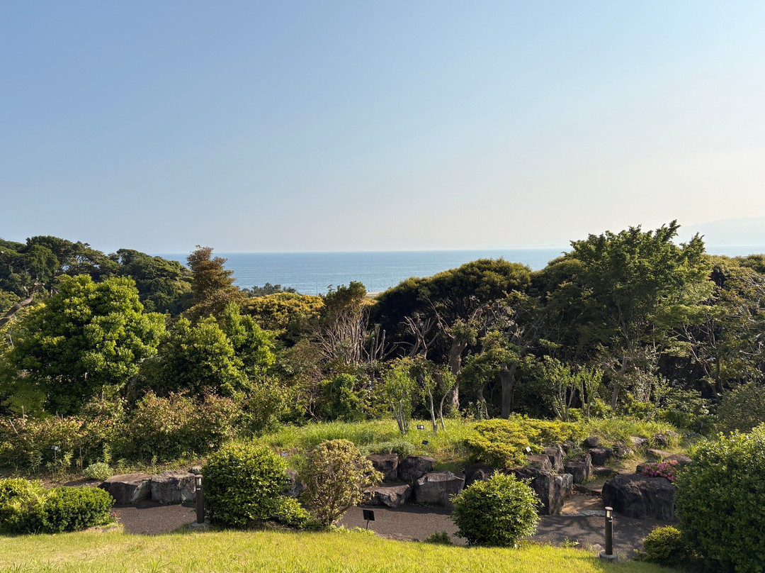 Oisojoyama Park-大矶町必去景点