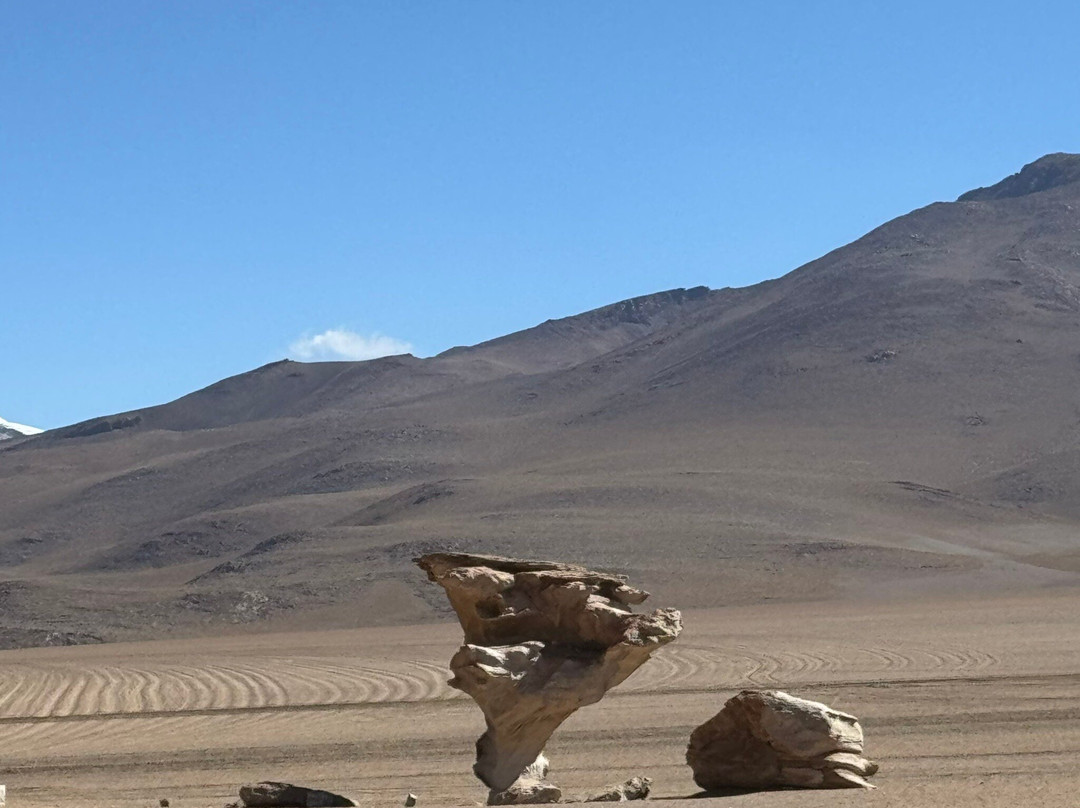 Siloli Desert-乌尤尼必去景点