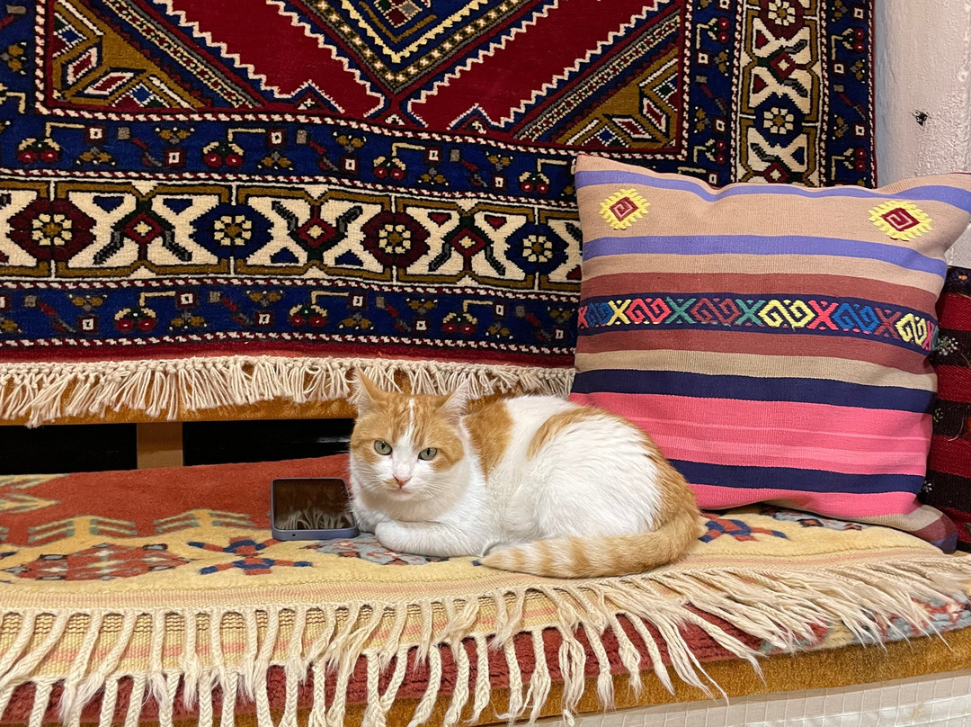 Pergamon Carpet Weaving Coop-贝尔加马必去景点