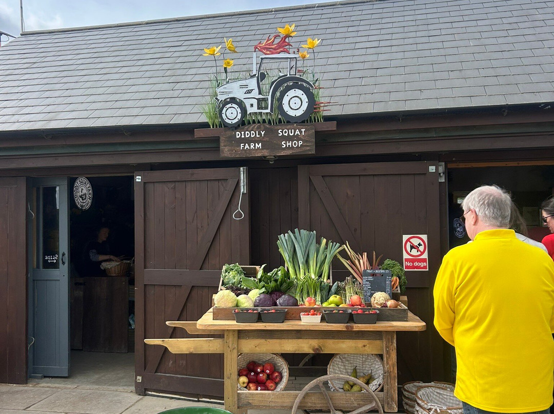 Diddly Squat Farm Shop-奇平诺顿必去景点