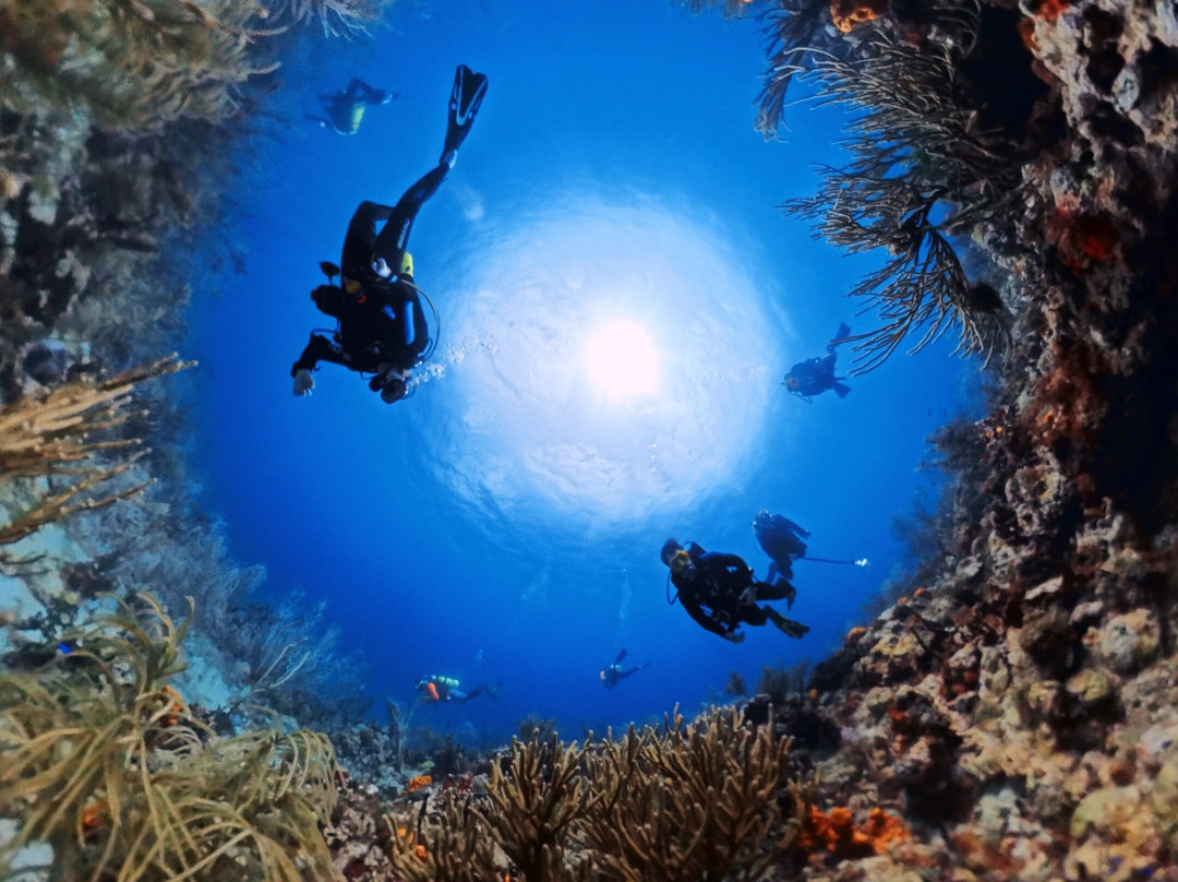 Dive Grenada-Grand Anse必去景点
