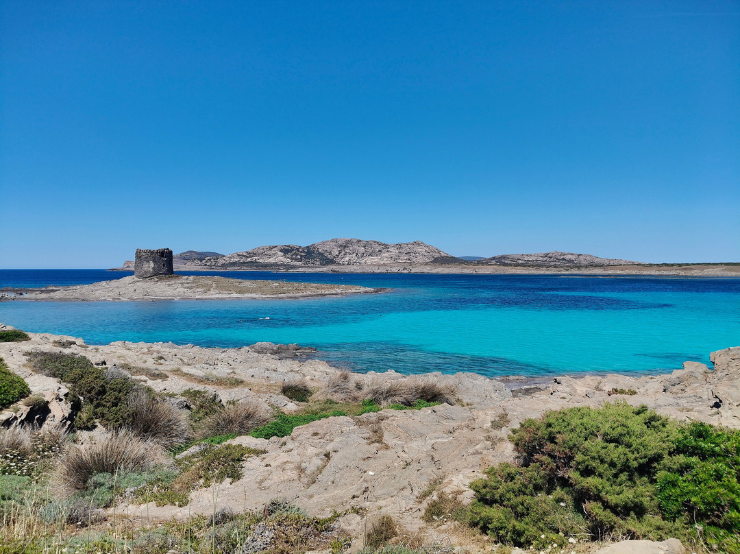 La Pelosa Beach-斯廷蒂诺必去景点
