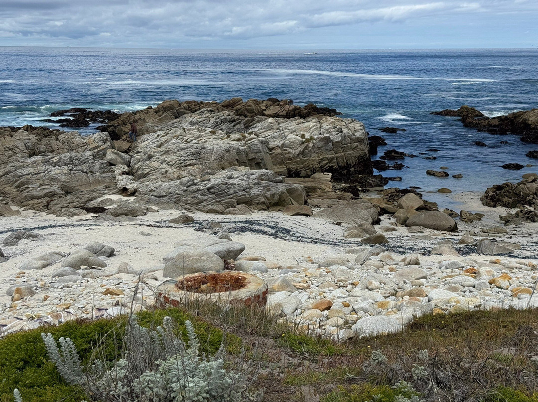 Asilomar State Beach-太平洋丛林镇必去景点