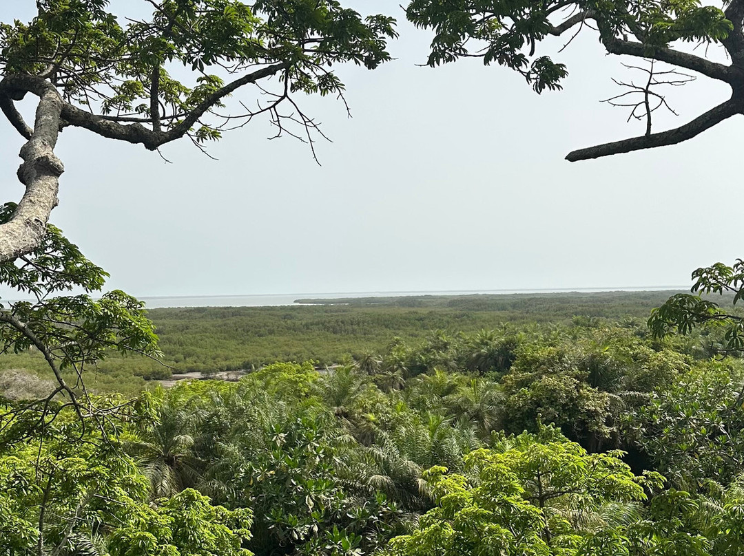 Casamance Vtt-Oussouye必去景点