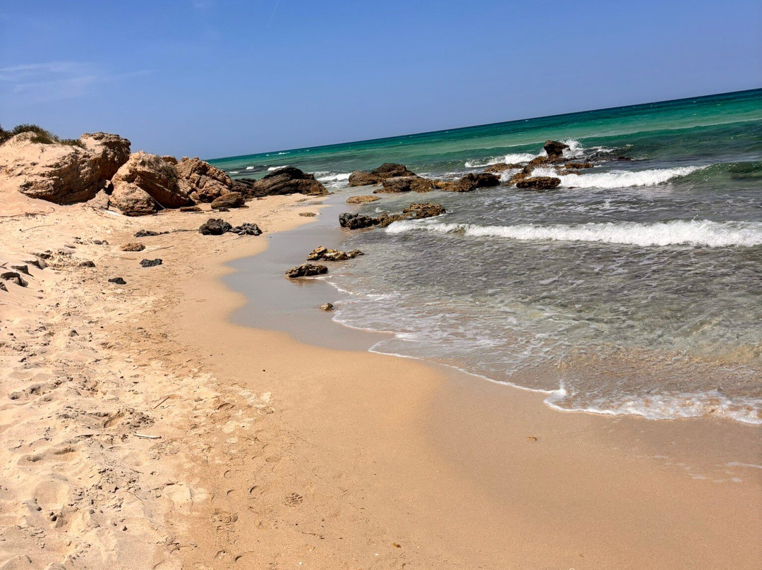 Spiaggia Torre Guaceto-Carovigno必去景点