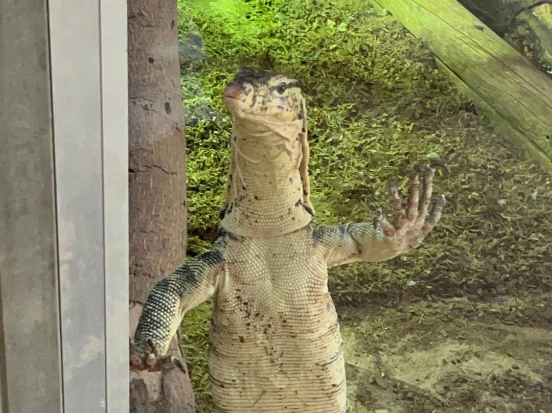 Pafos Zoo-帕福斯必去景点