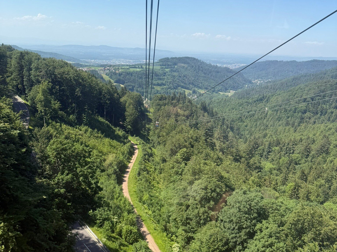 Schauinslandbahn-Horben必去景点