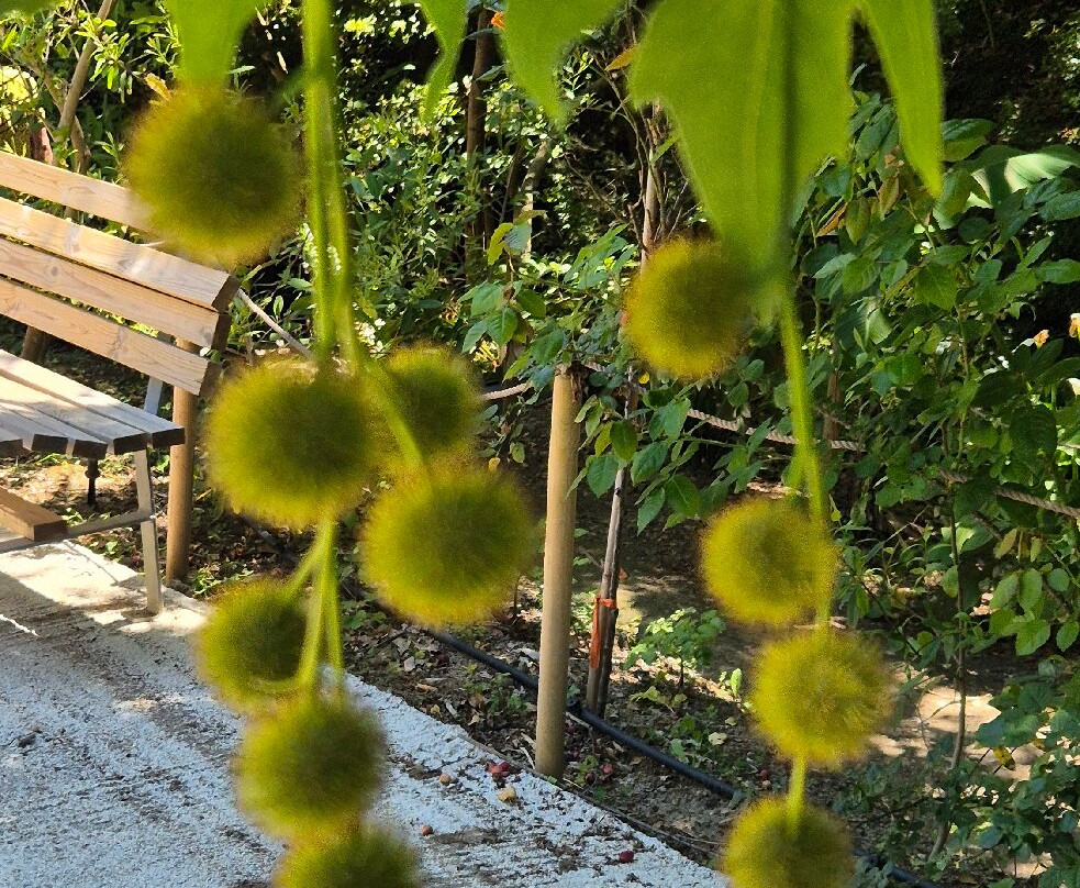 Maravel Garden-Spili必去景点