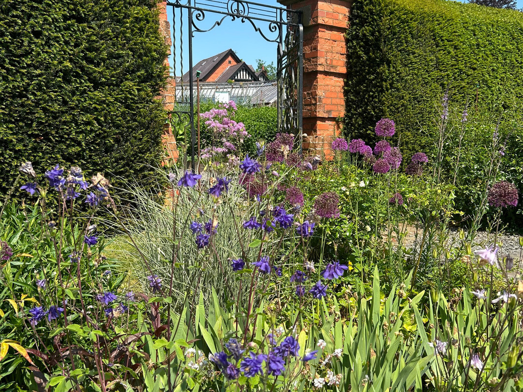 Llysdinam Gardens-Newbridge-on-Wye必去景点