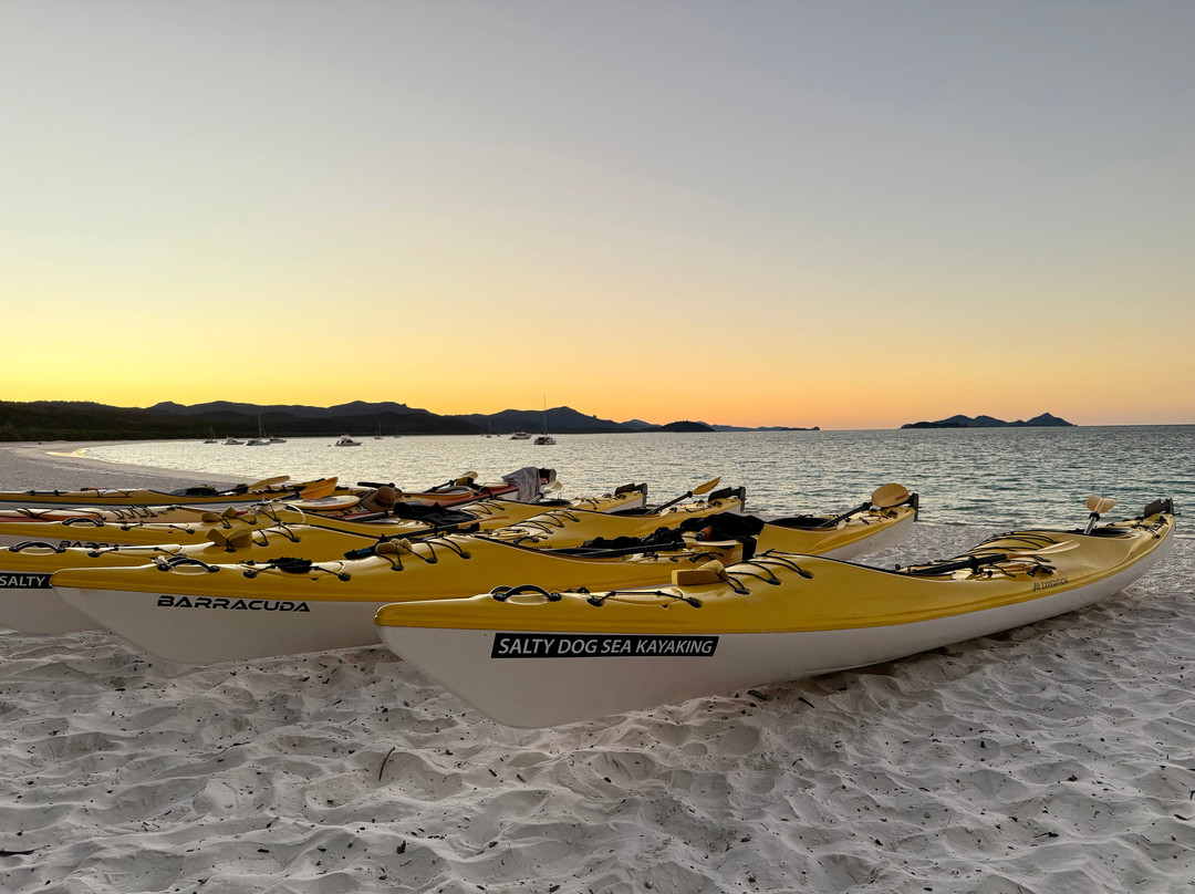 Salty Dog Sea Kayaking - Day Tours-舒特港必去景点