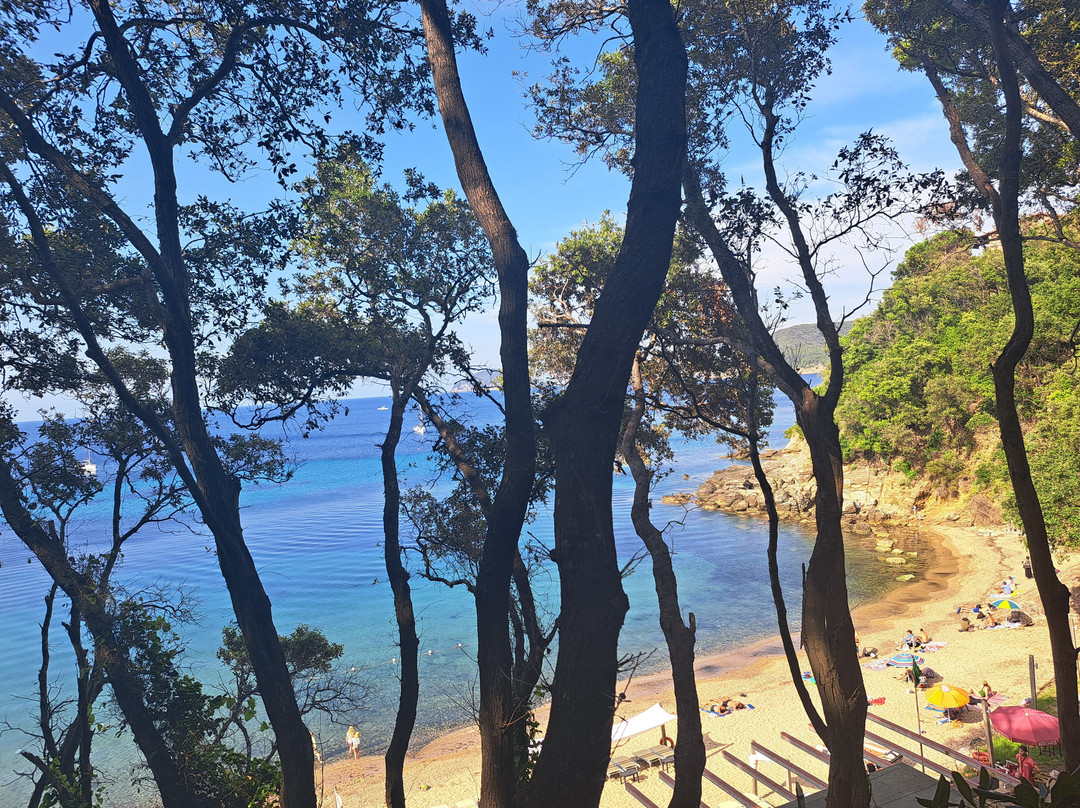 Spiaggia della Paolina-Procchio必去景点