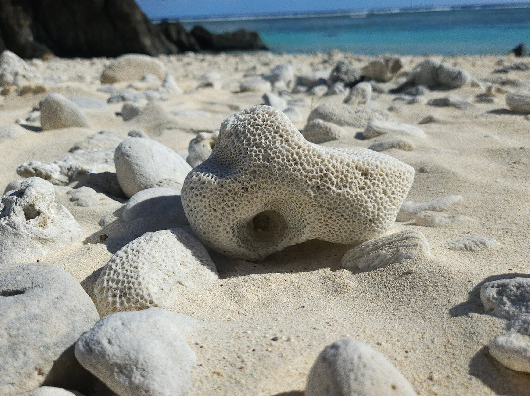 Black Rock Beach-拉罗汤加必去景点