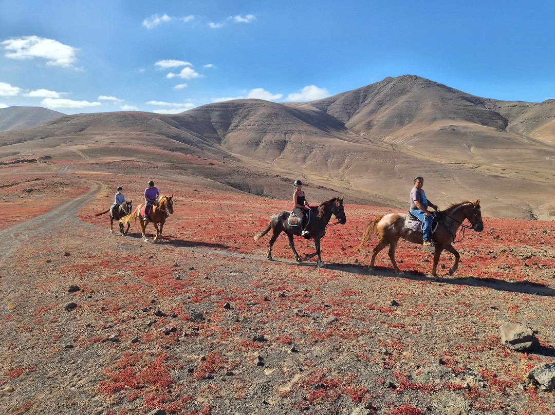 Lanzarote a Caballo-兰萨罗特必去景点