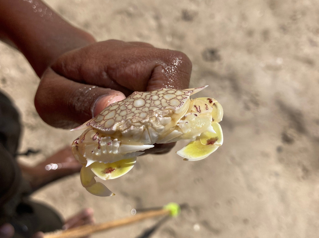 Bundy's Cultural Tours-Dampier Peninsula必去景点