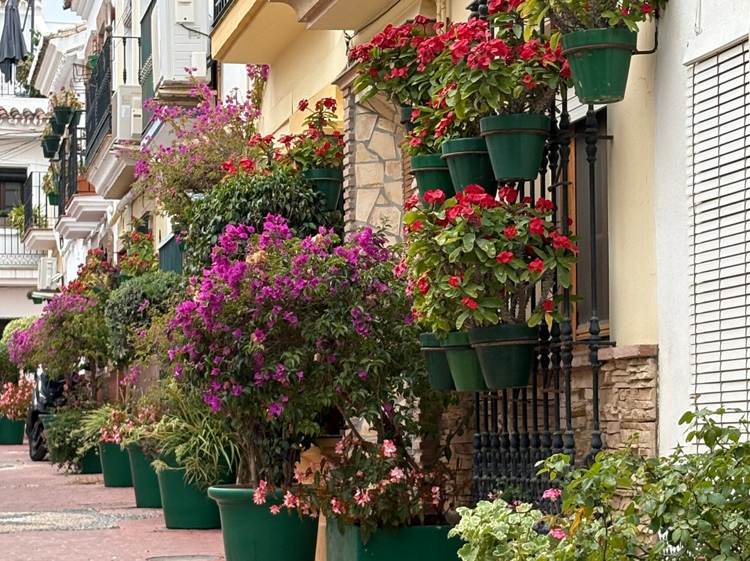Centro Historico de Estepona-埃斯特波纳必去景点
