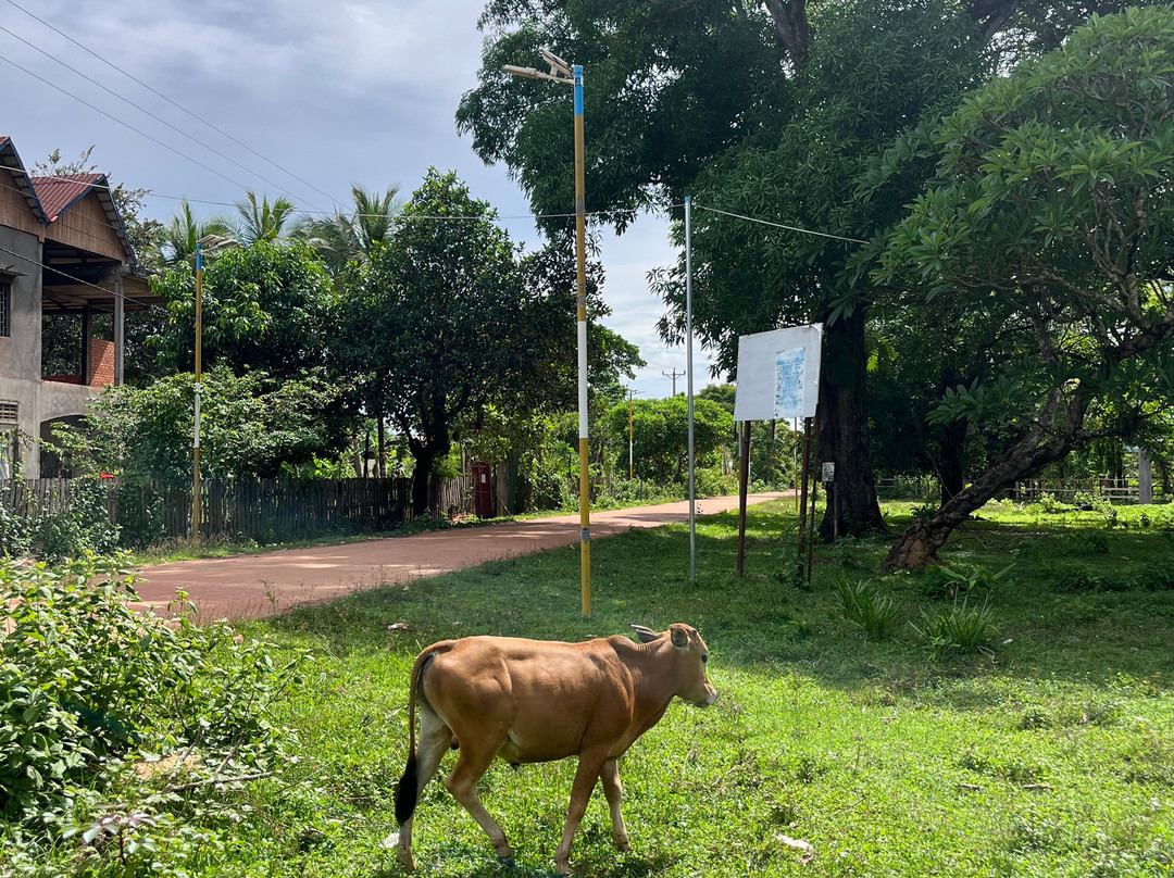 Ratanakiri Farmhouse and Trekking-邦隆必去景点