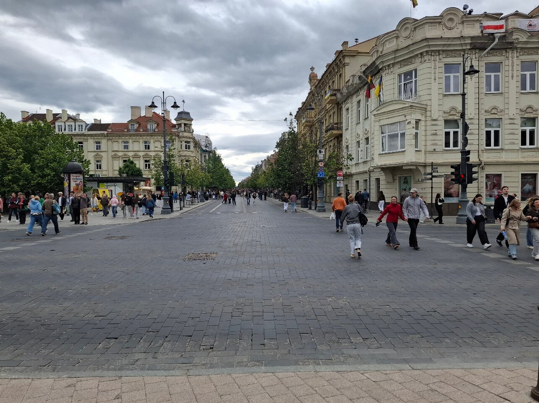 Gediminas Avenue-维尔纽斯必去景点