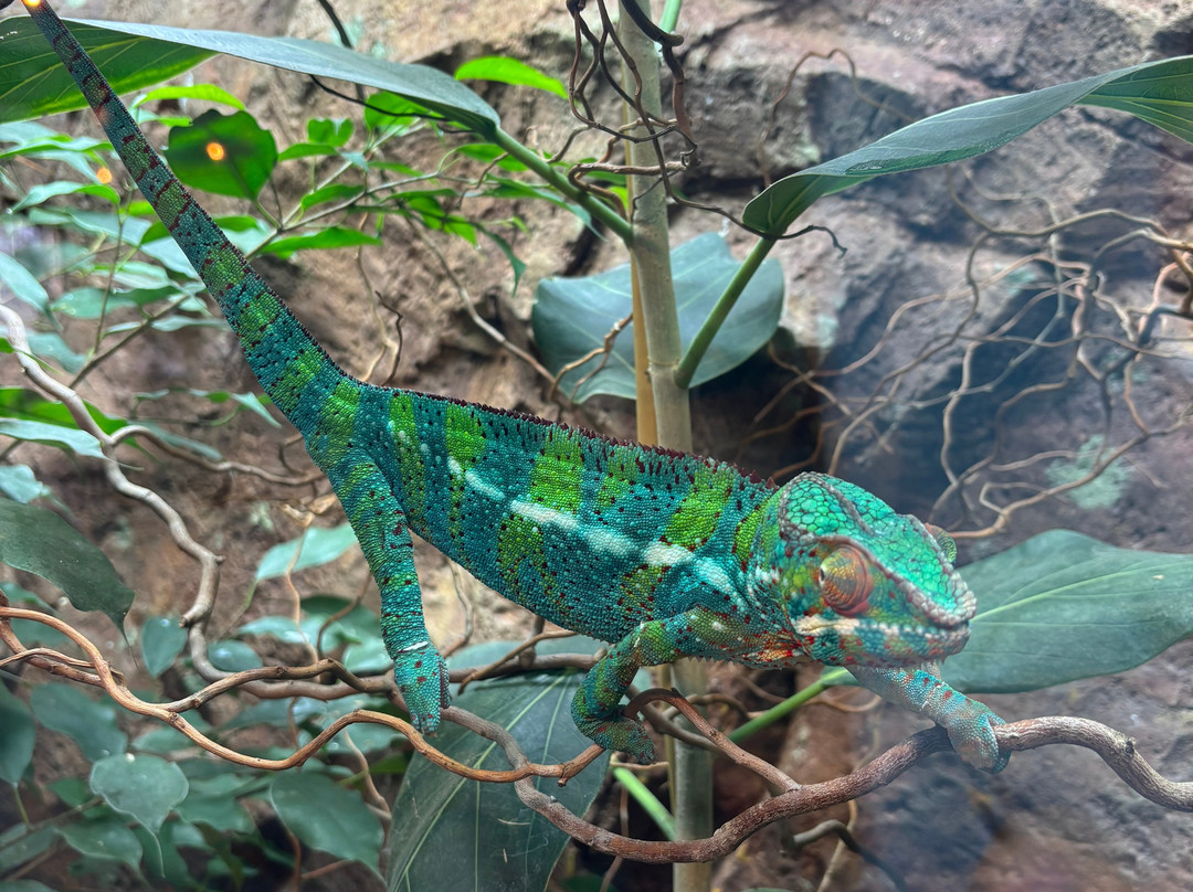 Hamerton Zoo Park-Sawtry必去景点