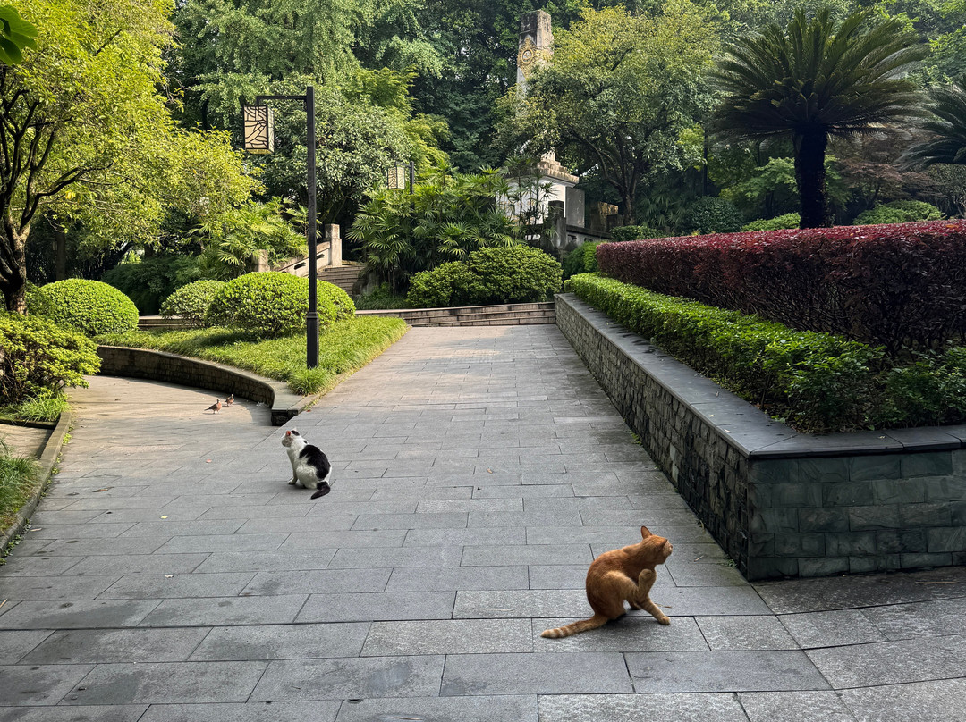 鹅岭公园-重庆市必去景点