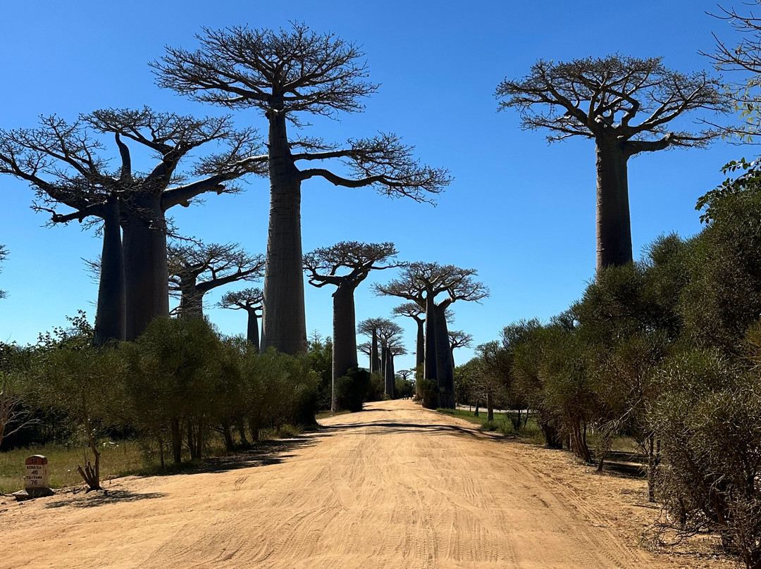 Madagascar Tropic Voyage-安齐拉贝必去景点