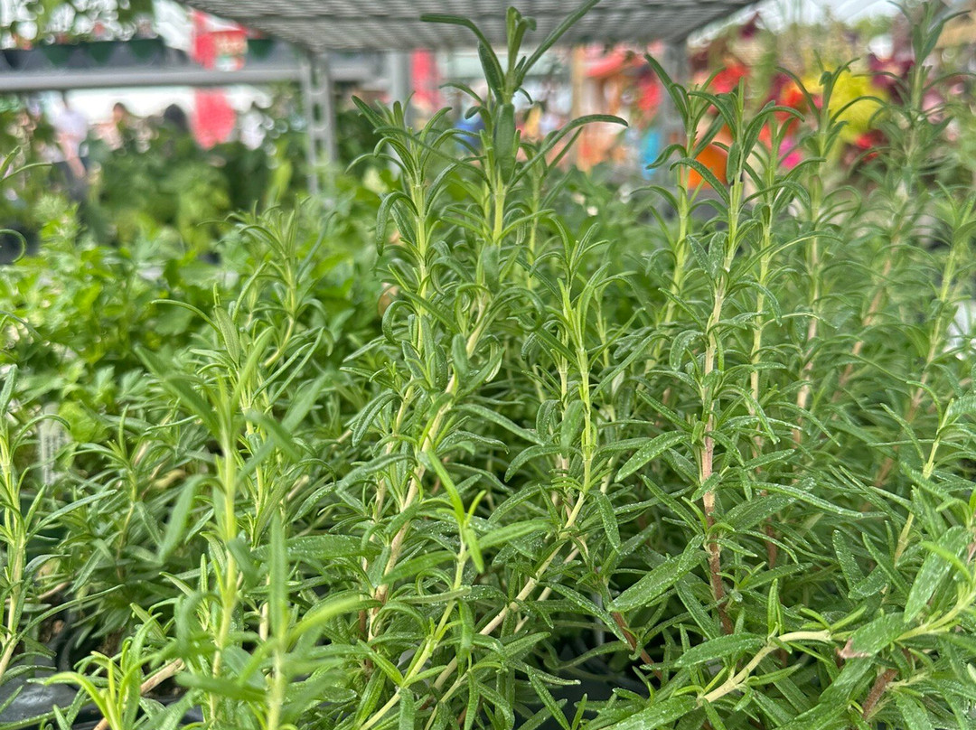 Windy Acres-Geneva必去景点