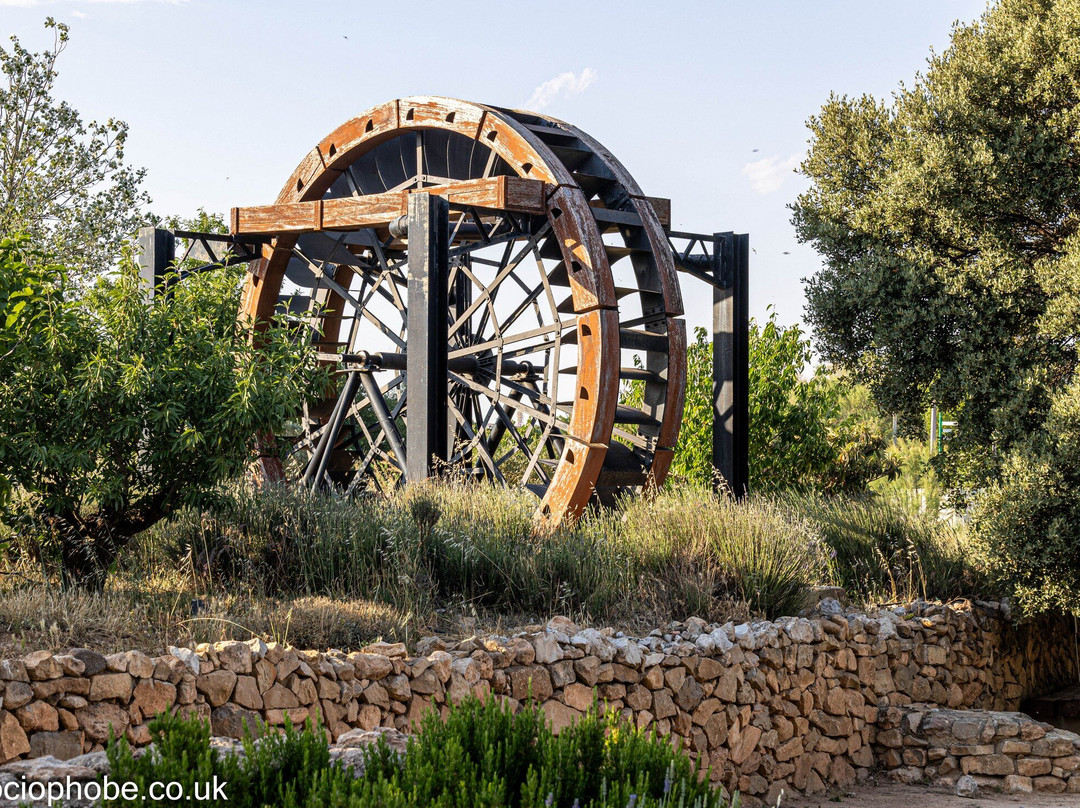 Jardin Botanico de Castilla-La Mancha-阿尔瓦塞特必去景点