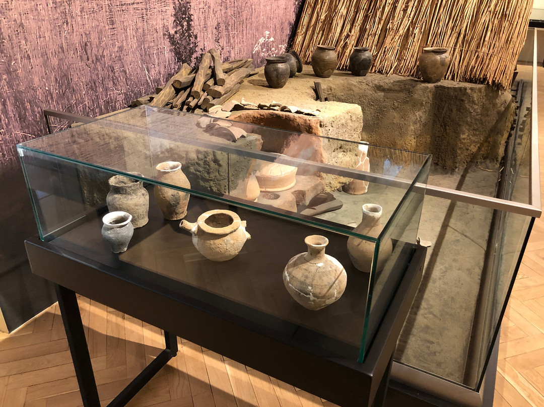 Complexul Muzeal Arad - Archaeology-History Section-阿拉德必去景点