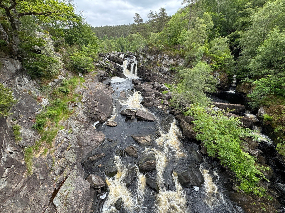 Rogie Falls-Contin必去景点