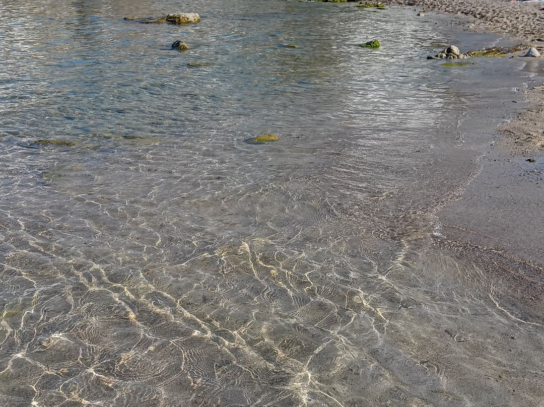 Platja de Cala Barques-Cala Sant Vicenc必去景点