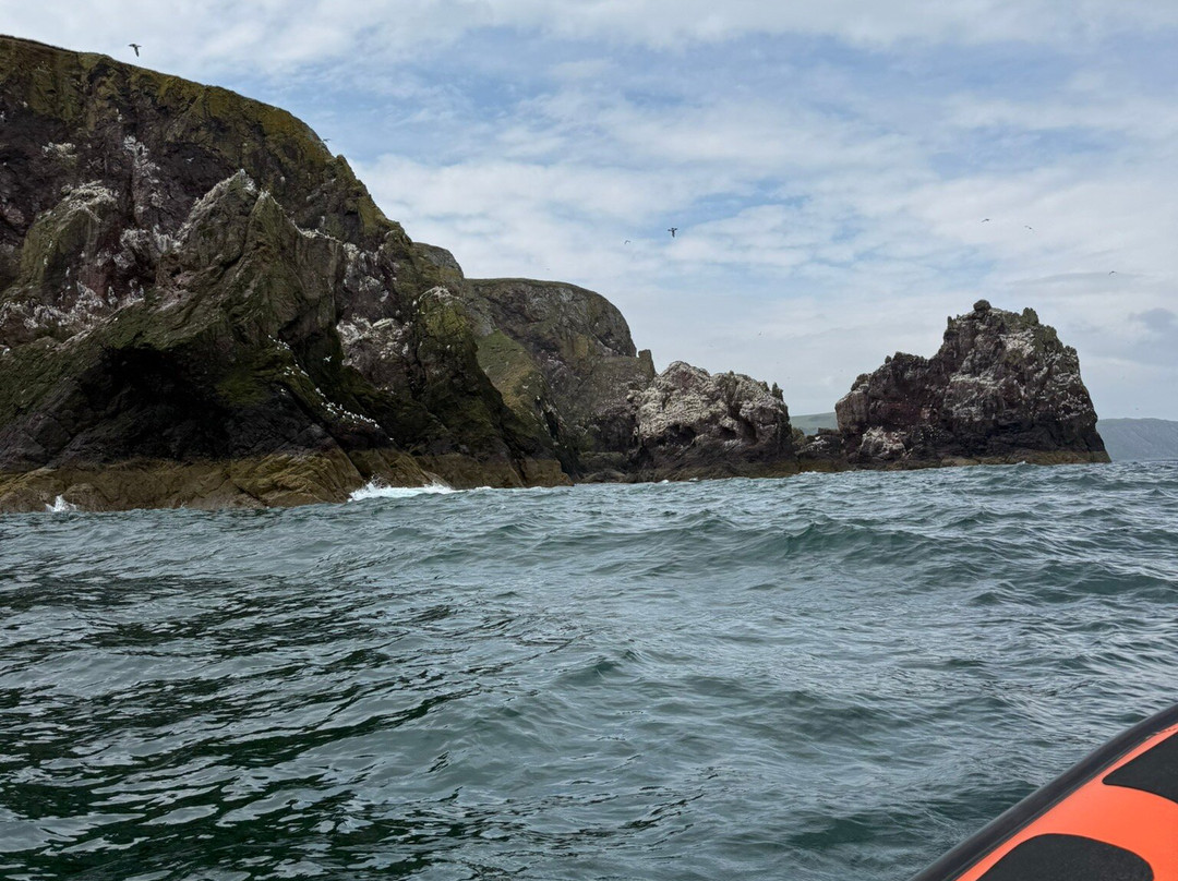 Eyemouth Rib Trips-Eyemouth必去景点