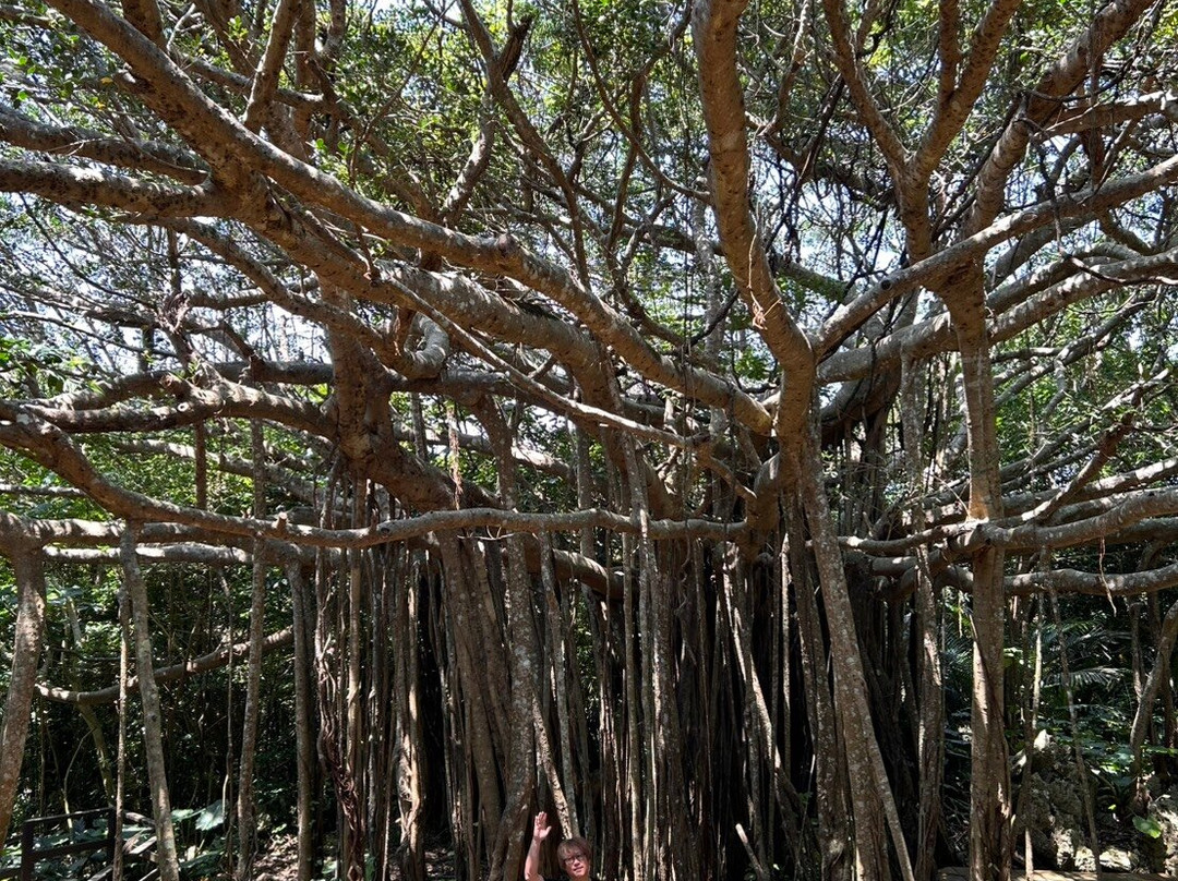 ASMUI Spiritual Hikes-国头村必去景点
