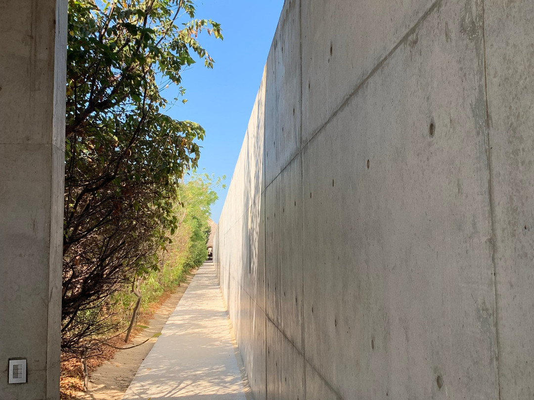 Fundacion Casa Wabi-埃斯孔迪多港必去景点
